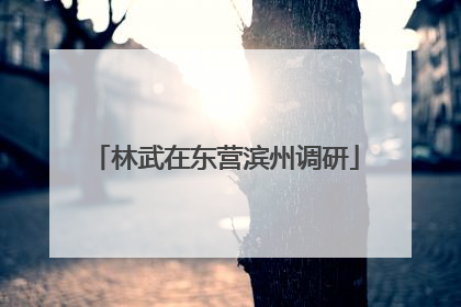 林武在东营滨州调研