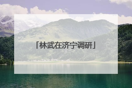 林武在济宁调研