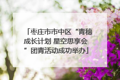 枣庄市市中区“青穗成长计划 星空思享会”团青活动成功举办