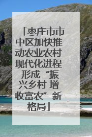 枣庄市市中区加快推动农业农村现代化进程 形成“振兴乡村 增收富农”新格局
