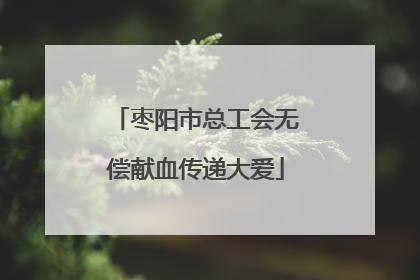 枣阳市总工会无偿献血传递大爱