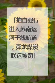 擅自强行进入苏南运河干线航道，舜龙煤炭联运被罚