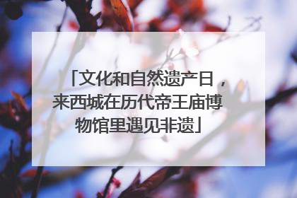 文化和自然遗产日，来西城在历代帝王庙博物馆里遇见非遗
