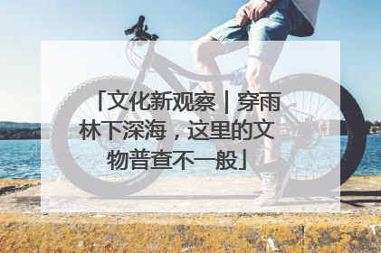 文化新观察｜穿雨林下深海，这里的文物普查不一般