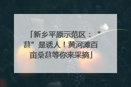 新乡平原示范区：“葚”是诱人！黄河滩百亩桑葚等你来采摘