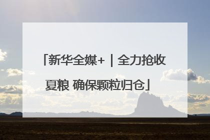 新华全媒+｜全力抢收夏粮 确保颗粒归仓