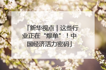 新华视点｜这些行业正在“爆单”！中国经济活力密码