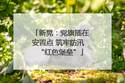 新晃：党旗插在安置点 筑牢防汛“红色堡垒”