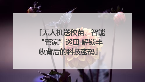 无人机送秧苗、智能“管家”巡田 解锁丰收背后的科技密码