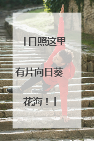 日照这里有片向日葵花海！