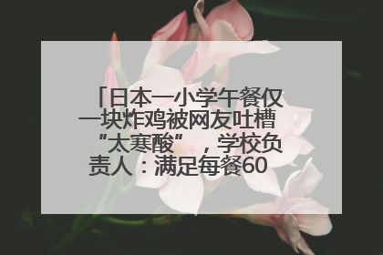 日本一小学午餐仅一块炸鸡被网友吐槽“太寒酸”，学校负责人：满足每餐600千卡的标准