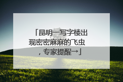 昆明一写字楼出现密密麻麻的飞虫，专家提醒→