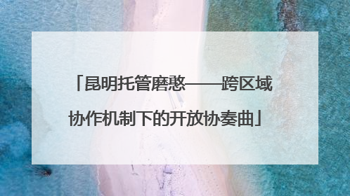 昆明托管磨憨——跨区域协作机制下的开放协奏曲