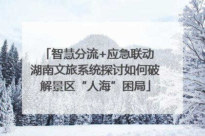 智慧分流+应急联动 湖南文旅系统探讨如何破解景区“人海”困局
