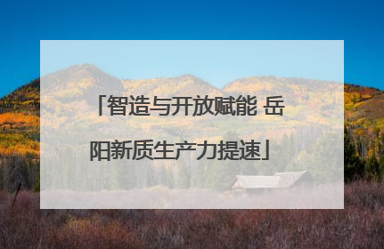 智造与开放赋能 岳阳新质生产力提速