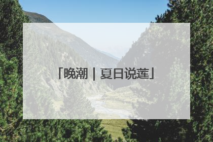 晚潮｜夏日说莲