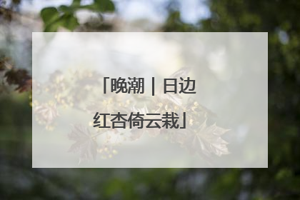 晚潮｜日边红杏倚云栽