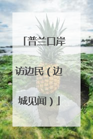 普兰口岸访边民（边城见闻）