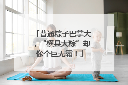 普通粽子巴掌大，“横县大粽”却像个巨无霸！