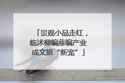 景观小品走红，临沭柳编藤编产业成文旅“新宠”