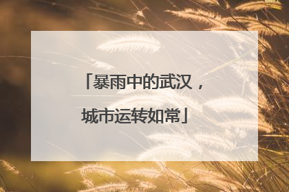 暴雨中的武汉，城市运转如常