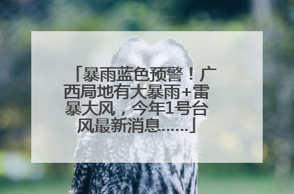 暴雨蓝色预警！广西局地有大暴雨+雷暴大风，今年1号台风最新消息……