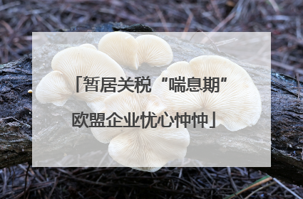 暂居关税“喘息期” 欧盟企业忧心忡忡