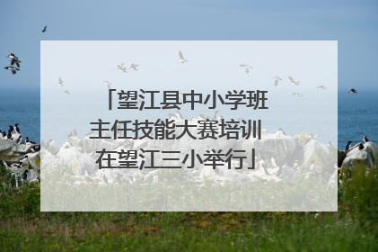 望江县中小学班主任技能大赛培训在望江三小举行