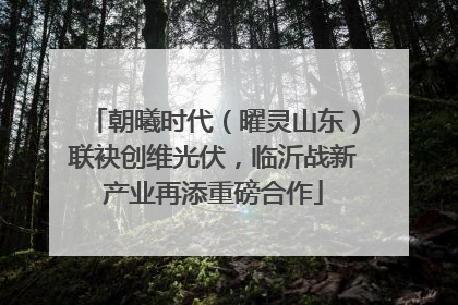 朝曦时代（曜灵山东）联袂创维光伏，临沂战新产业再添重磅合作