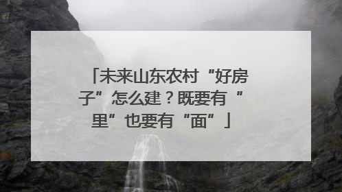 未来山东农村“好房子”怎么建？既要有“里”也要有“面”