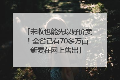 未收也能先以好价卖！全省已有70多万亩新麦在网上售出