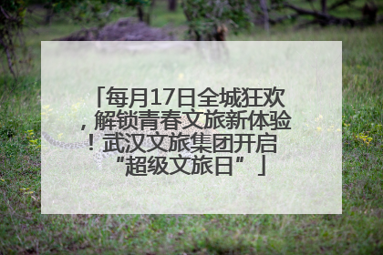 每月17日全城狂欢，解锁青春文旅新体验！武汉文旅集团开启 “超级文旅日”