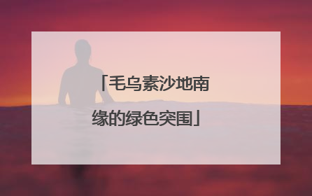 毛乌素沙地南缘的绿色突围