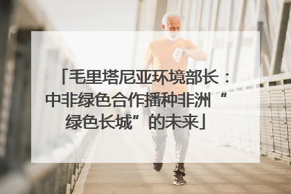 毛里塔尼亚环境部长：中非绿色合作播种非洲“绿色长城”的未来