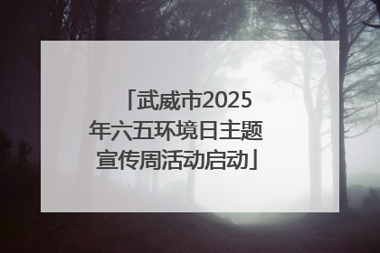 武威市2025年六五环境日主题宣传周活动启动