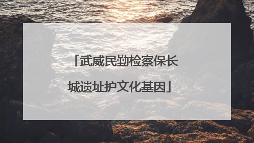 武威民勤检察保长城遗址护文化基因