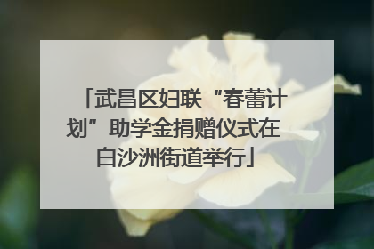 武昌区妇联“春蕾计划”助学金捐赠仪式在白沙洲街道举行