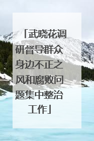 武晓花调研督导群众身边不正之风和腐败问题集中整治工作
