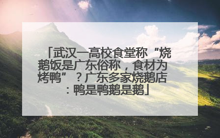 武汉一高校食堂称“烧鹅饭是广东俗称，食材为烤鸭”？广东多家烧鹅店：鸭是鸭鹅是鹅