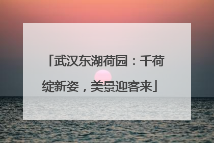 武汉东湖荷园：千荷绽新姿，美景迎客来