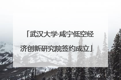 武汉大学·咸宁低空经济创新研究院签约成立