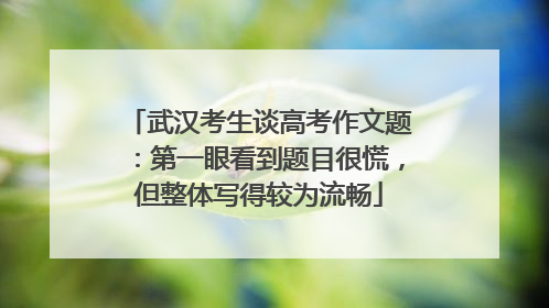 武汉考生谈高考作文题：第一眼看到题目很慌，但整体写得较为流畅