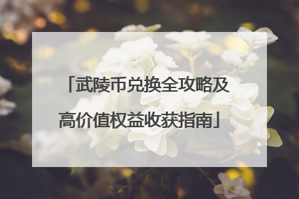 武陵币兑换全攻略及高价值权益收获指南