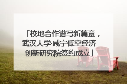 校地合作谱写新篇章，武汉大学·咸宁低空经济创新研究院签约成立