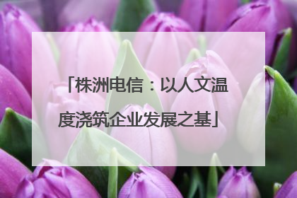 株洲电信：以人文温度浇筑企业发展之基
