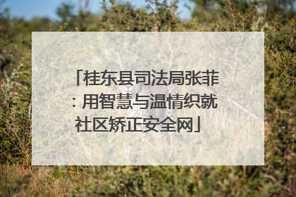 桂东县司法局张菲：用智慧与温情织就社区矫正安全网