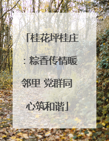 桂花坪桂庄：粽香传情暖邻里 党群同心筑和谐