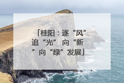 桂阳：逐“风”追“光” 向“新”向“绿”发展
