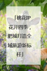 桃花IP花开四季，肥城打造全域旅游新标杆