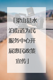 梁山县水泊街道为民服务中心开展惠民政策宣传